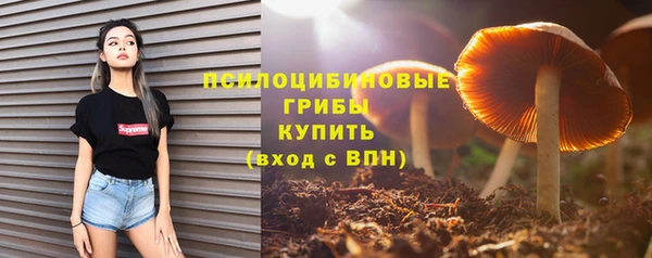 бутират Россошь